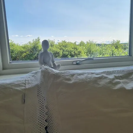 Rural Happiness - 10 Minutes From Apartament *
